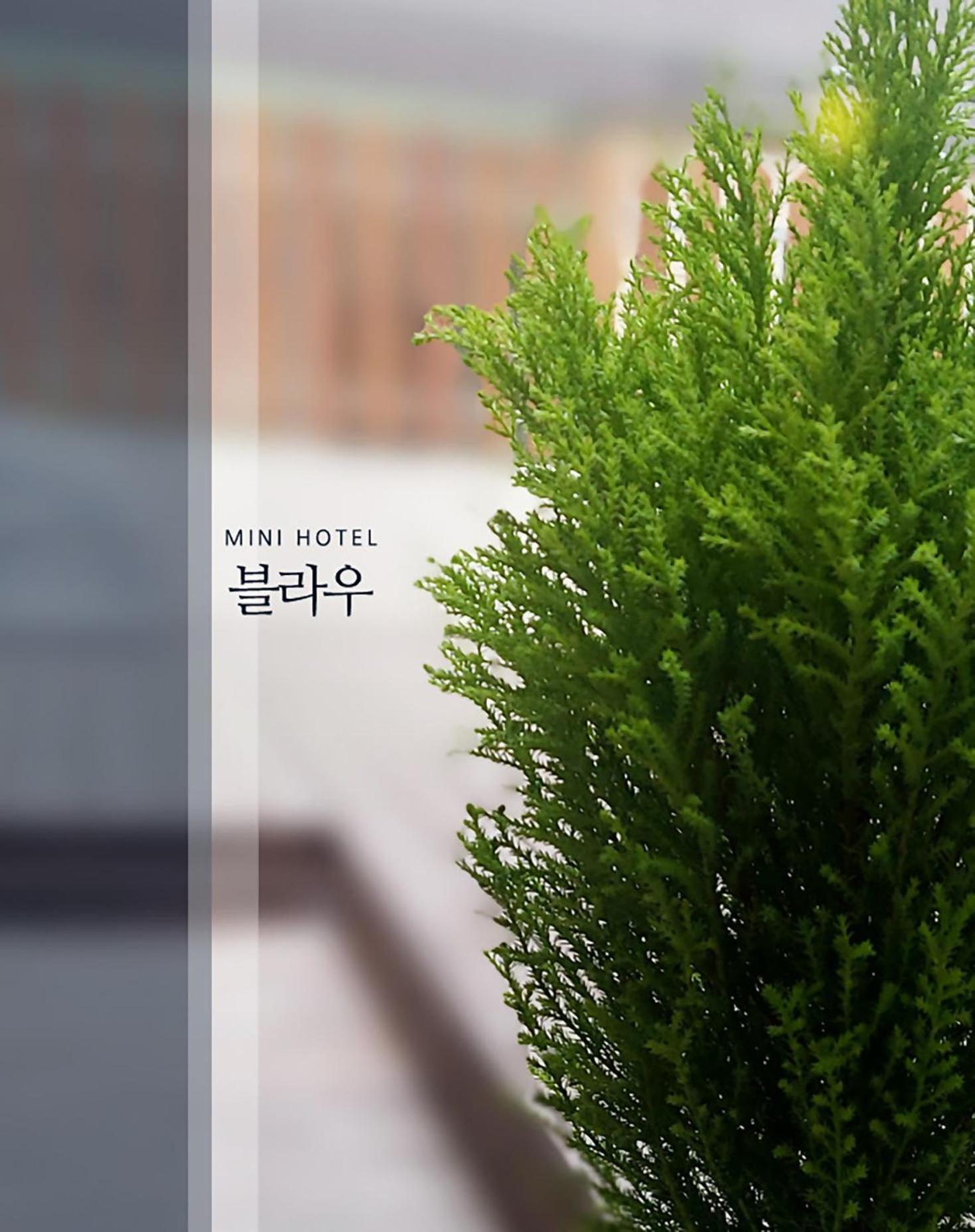 Blau Guesthouse 庆州 外观 照片