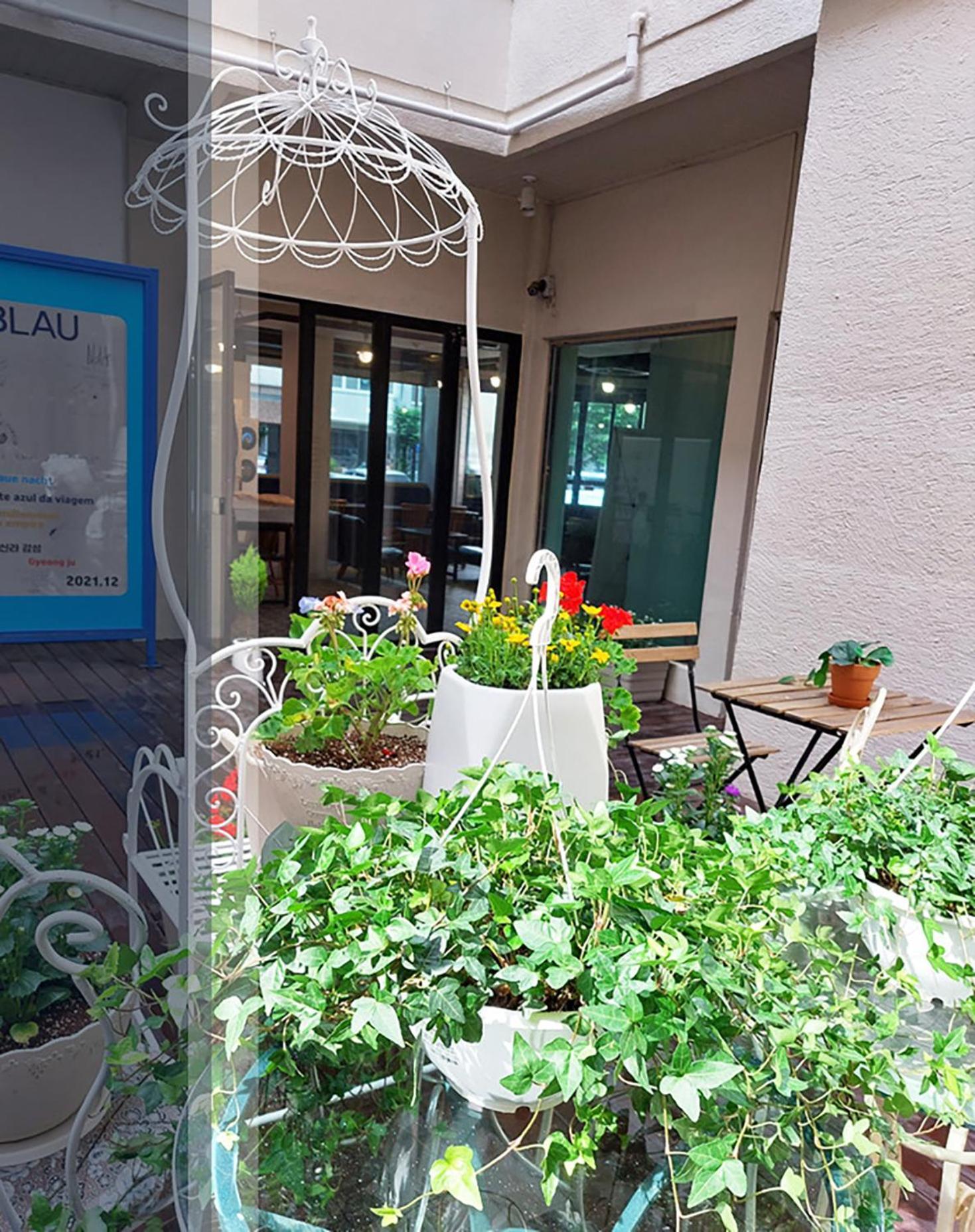 Blau Guesthouse 庆州 外观 照片