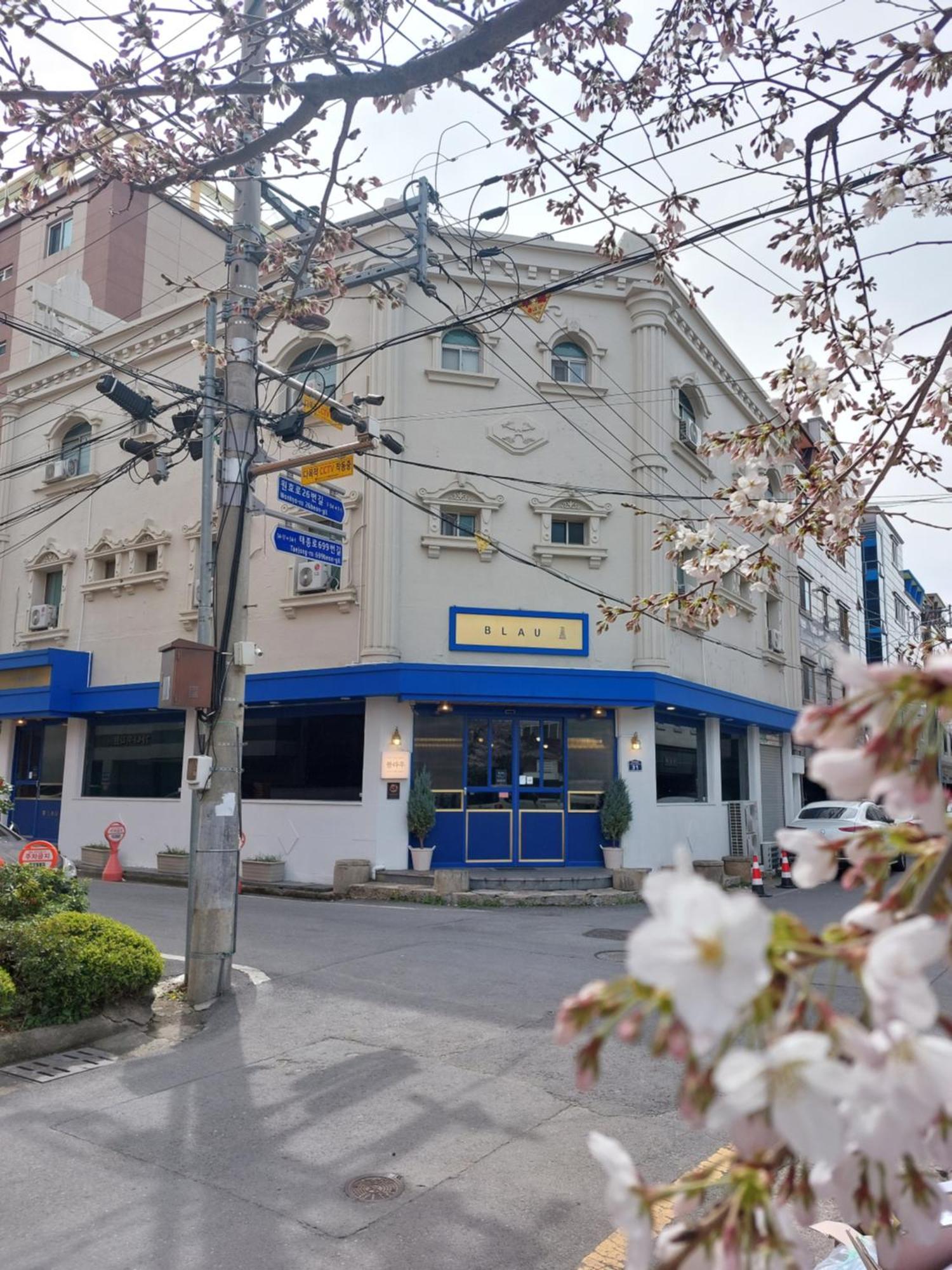 Blau Guesthouse 庆州 外观 照片